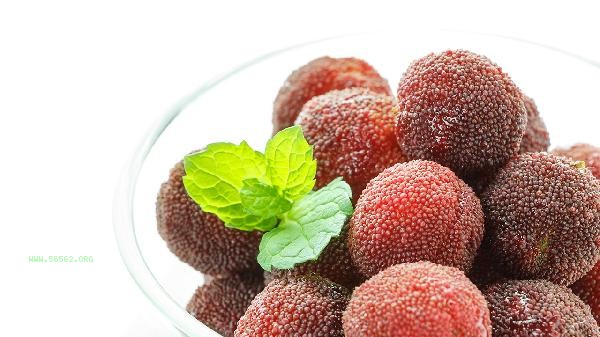 The correct soaking method for bayberry wine