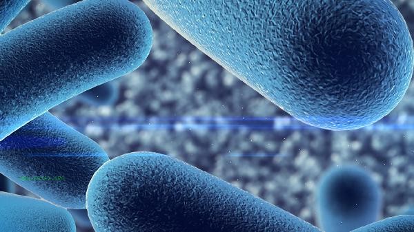 Are non refrigerated probiotics effective