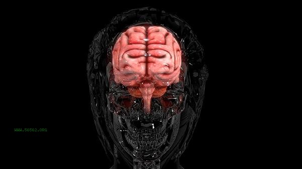 Which consumes energy, mental labor or physical labor