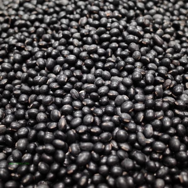 How many beans can be eaten in a day