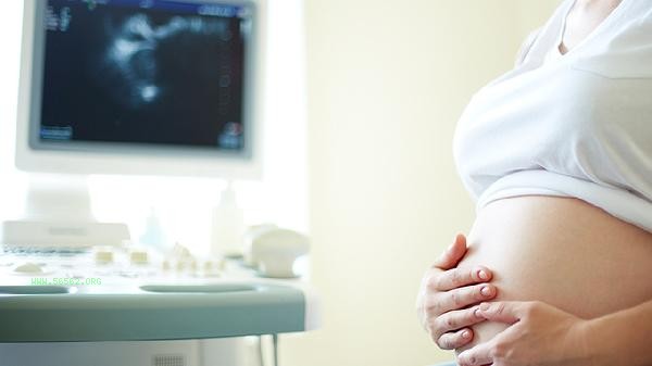 Which is better for pregnant women, fish oil or algal oil DHA