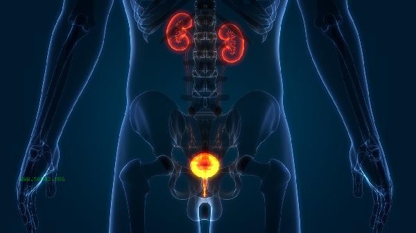 What medicine does blood essence take to recover the fastest? How to effectively treat high blood sugar