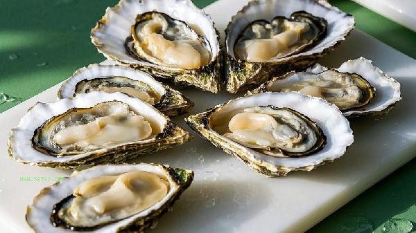 Is eating more oysters good for the body