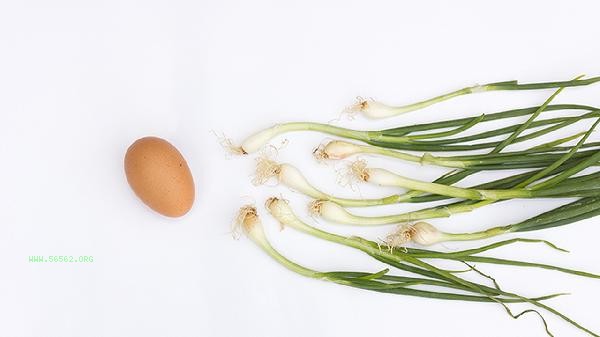 What are the benefits of eating raw scallions for men