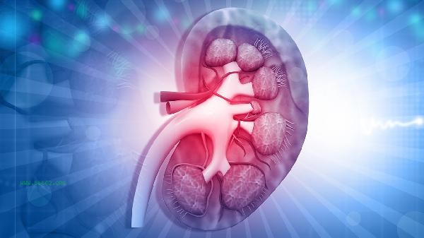 When is the most suitable time to take Kidney Treasure Tablets?