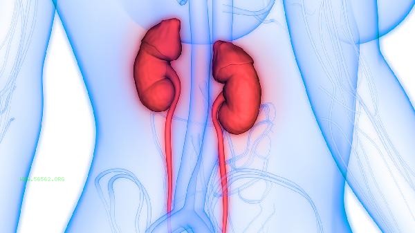 What is the best combination for Kidney Treasure Tablets