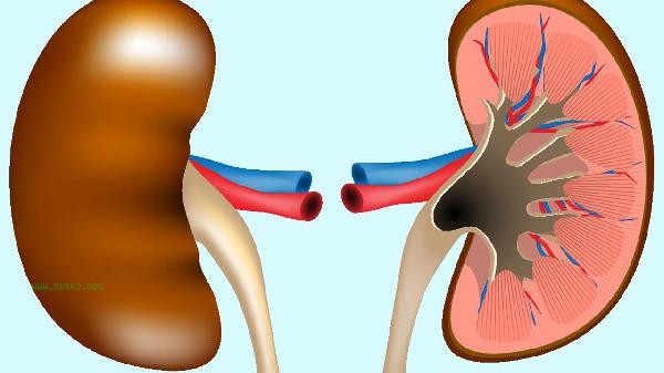 Can Kidney Treasure Tablets be taken at the age of 17