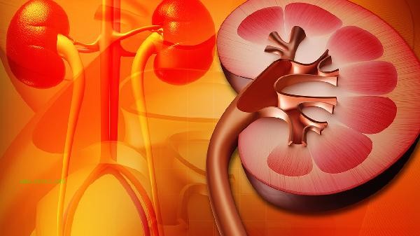 Who is not suitable to take Kidney Treasure Tablets