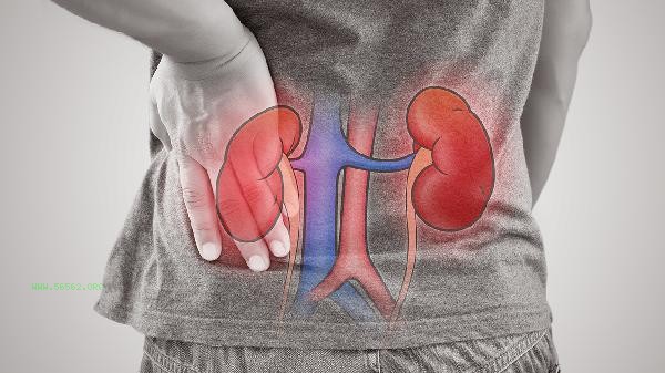 What kind of person can take Kidney Treasure Tablets