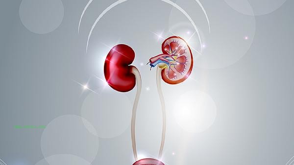 What kind of people are suitable for taking Kidney Treasure Tablets