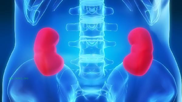 Can I take Kidney Treasure Tablets during adolescence