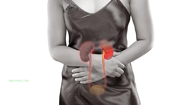 Is taking Kidney Treasure Capsules beneficial for women's health
