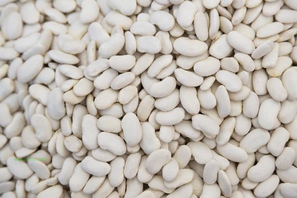What are the disadvantages of eating beans every day