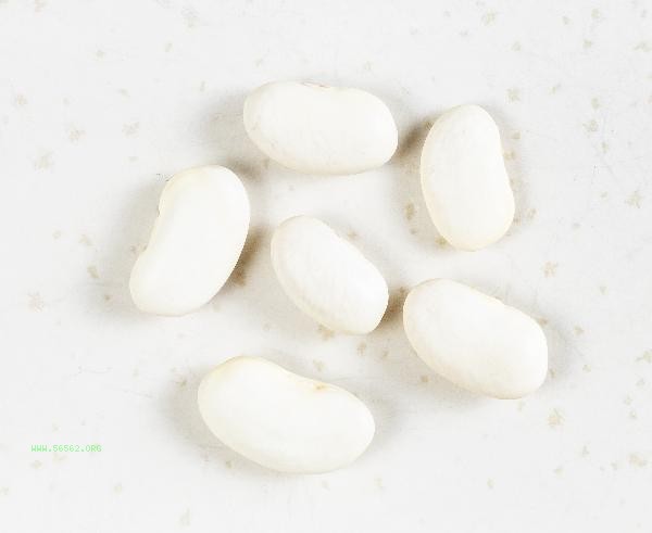 Will eating beans promote early development