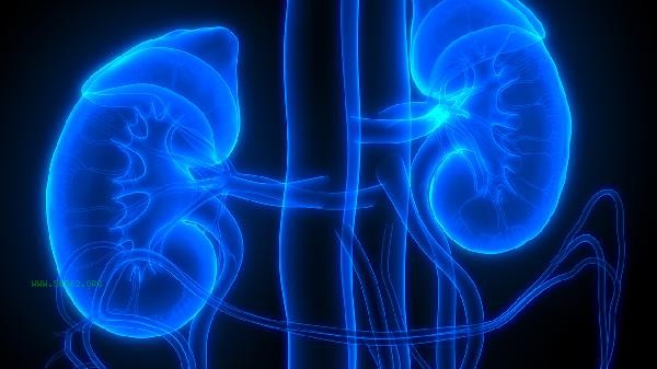 Can Huiren Kidney Treasure Tablets be taken continuously