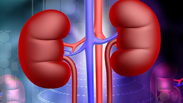 Can Huiren Kidney Treasure Tablets be taken regularly