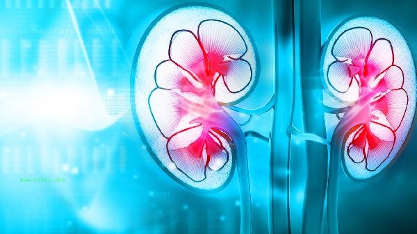 What is the use of taking Kidney Treasure Tablets