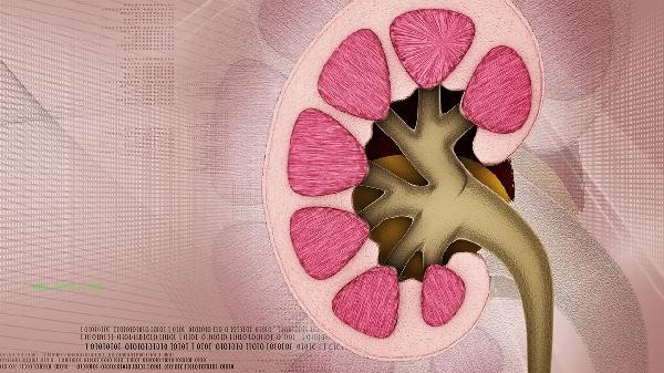 What will happen after eating Kidney Treasure