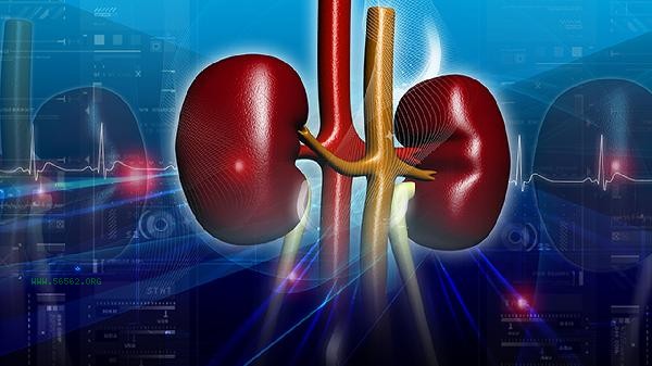 How long is the appropriate time to take Kidney Treasure Tablets
