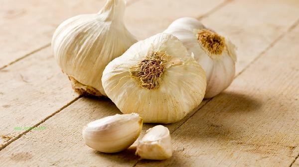 Who is suitable for eating garlic extract