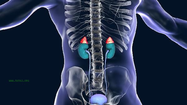 Is eating too much licorice bad for the kidneys