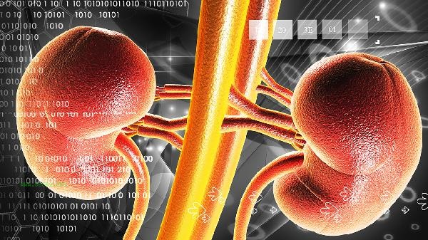 How long is a course of treatment for taking Kidney Treasure