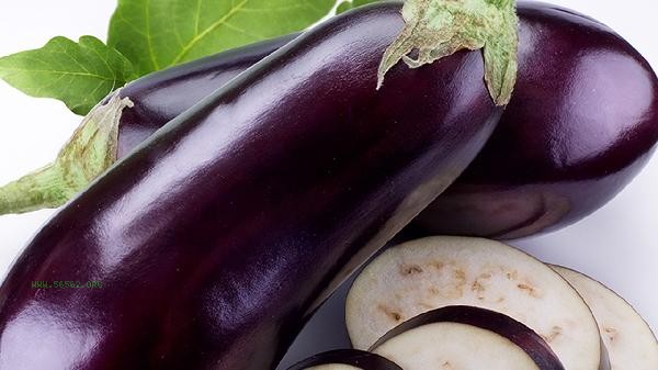 What foods have the greatest benefits for the kidneys