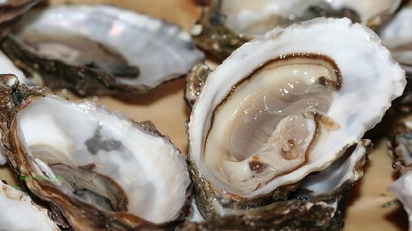 What should I not eat when eating oyster slices