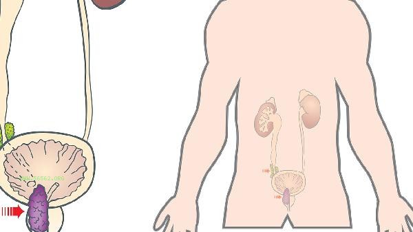 What are the side effects of taking Kidney Treasure Tablets