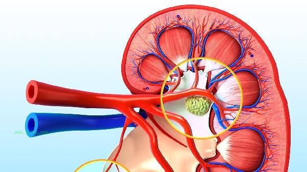 How long does it take for Kidney Treasure Tablets to take effect
