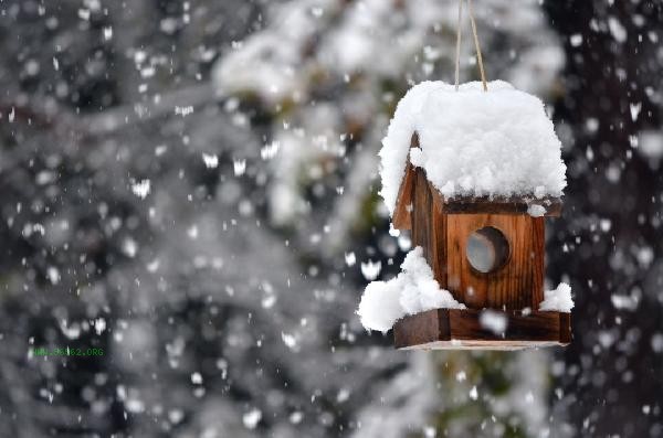 It's about to start winter. To avoid getting sick in winter, one must understand these health knowledge