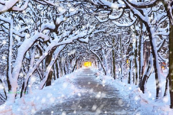 How to prevent winter diseases during this year's light snow season when there is a cold wave?