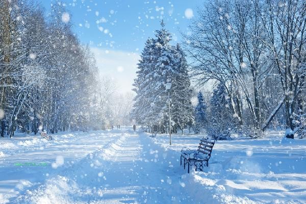 Eat 4 types of white foods to maintain health during the beginning of winter