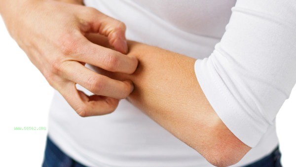 Say goodbye to mosquito troubles: How many floors can you live on to avoid mosquitoes?