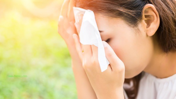 The best way to dispel dampness is not to take medicine. Keep these four things at home regularly, and from this summer on, stay away from dampness troubles