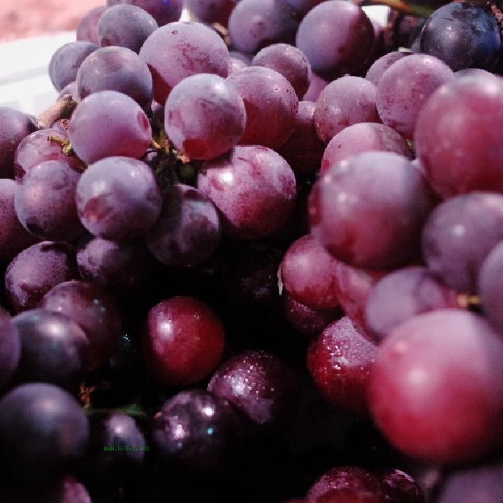 What fruits are good to eat in spring? 11 essential fruits to eat in spring