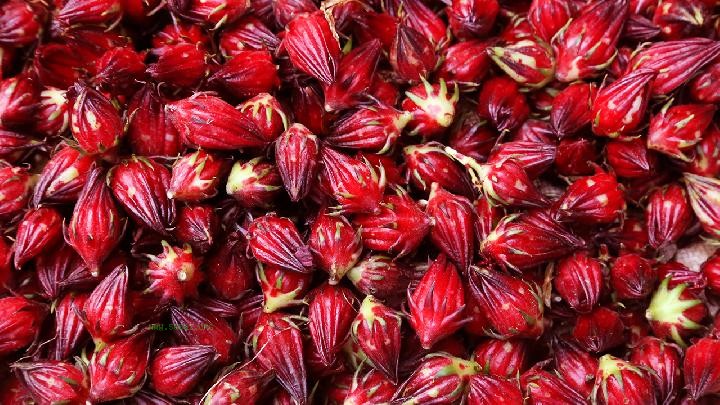 Spring cold driving can be tried with five types of flower tea that can be consumed regularly