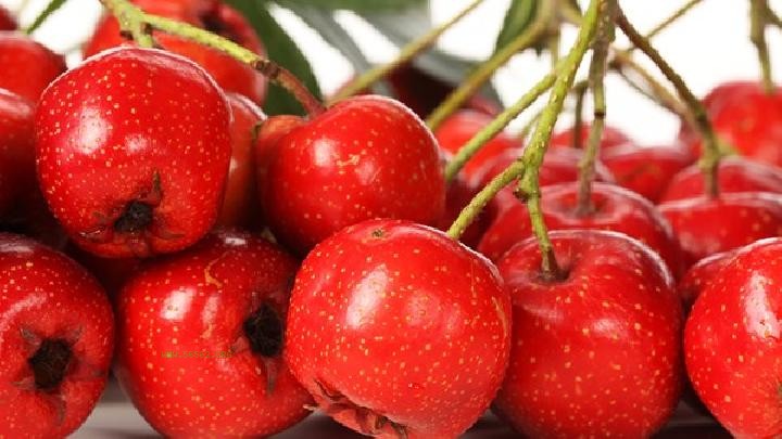 A complete list of spring fat burning fruits to help you lose enough weight in one go