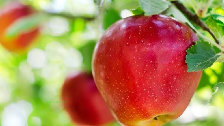 What to eat in winter for the best health and wellness effects? Three recommended foods for winter health and wellness