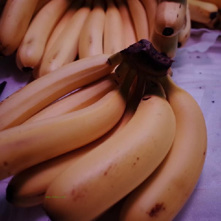 Can eating bananas in winter help with weight loss? Three things to pay attention to when eating bananas in winter