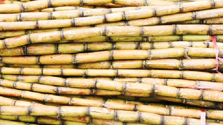 What are the benefits of eating sugarcane in summer? Eating sugarcane in summer has these health benefits