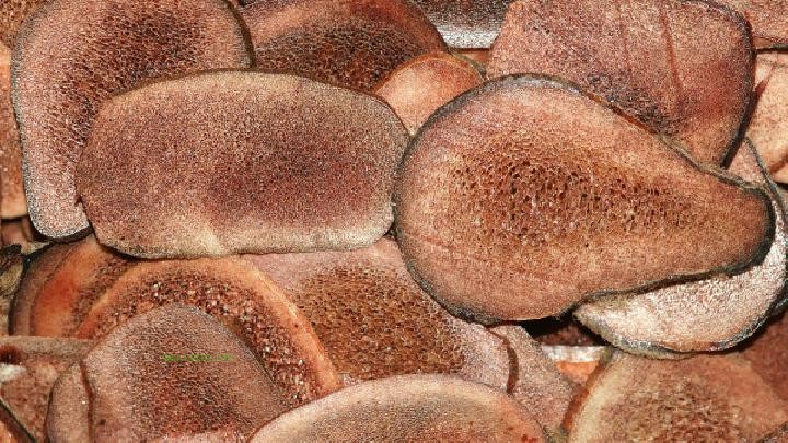What to eat for spring health? Eating potatoes can help with spring health