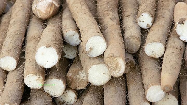 What to eat for health preservation and liver nourishing in spring? Eat more three dishes and one Congee for health preservation and liver nourishing in spring