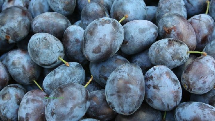 What is good to eat for spring health? Spring Health Tips Sharing
