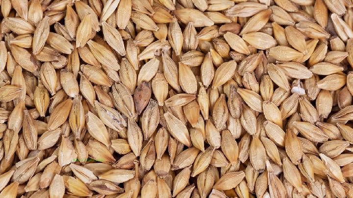 How to nourish the stomach in summer? Three types of food are recommended for summer stomach nourishment