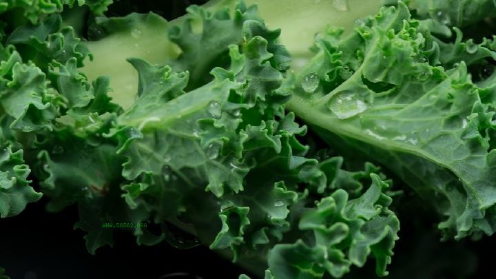 Do you know what nourishes the stomach? These foods have better stomach nourishing effects