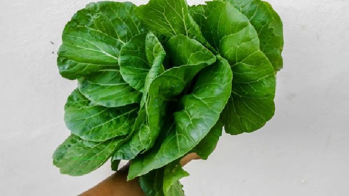 How to deal with excessive internal heat in summer? 7 easy foods to prevent internal heat should be eaten more