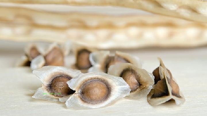 What foods should men eat to reduce internal heat in winter? Men should eat more of these 5 foods to reduce internal heat