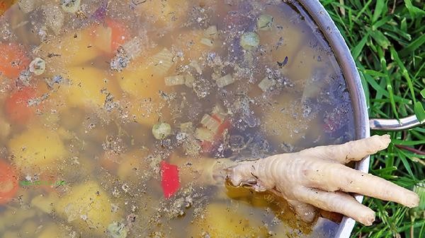 How to make chicken soup that is delicious and nutritious