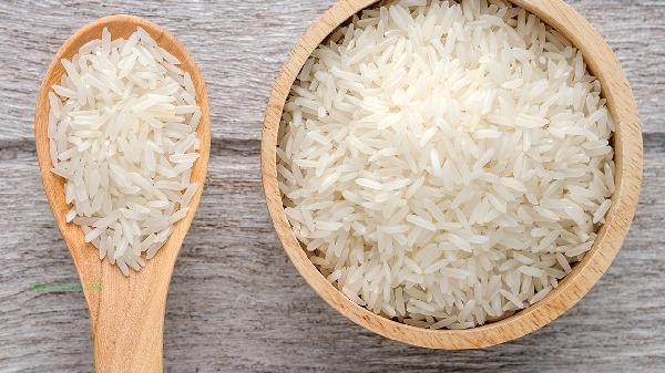 What types of insects grow in rice